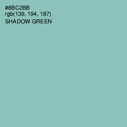 #8BC2BB - Shadow Green Color Image
