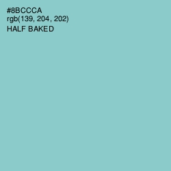 #8BCCCA - Half Baked Color Image