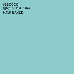 #8BCCCC - Half Baked Color Image