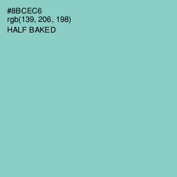 #8BCEC6 - Half Baked Color Image
