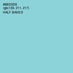 #8BD3D9 - Half Baked Color Image