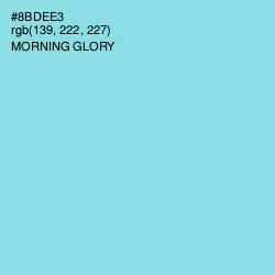 #8BDEE3 - Morning Glory Color Image