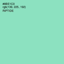 #8BE1C0 - Riptide Color Image
