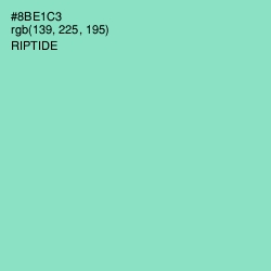 #8BE1C3 - Riptide Color Image