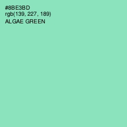 #8BE3BD - Algae Green Color Image