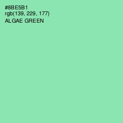 #8BE5B1 - Algae Green Color Image