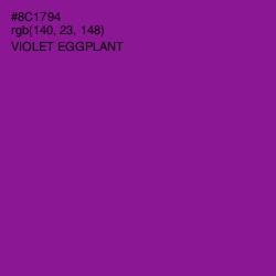 #8C1794 - Violet Eggplant Color Image