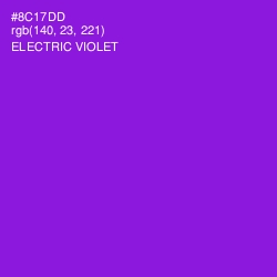 #8C17DD - Electric Violet Color Image