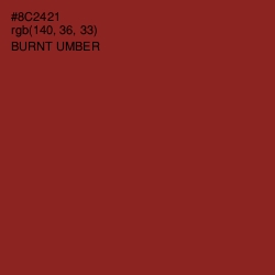 #8C2421 - Burnt Umber Color Image