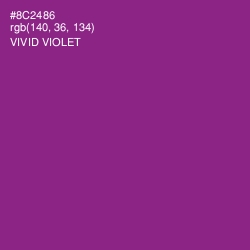 #8C2486 - Vivid Violet Color Image