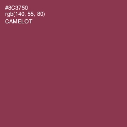 #8C3750 - Camelot Color Image
