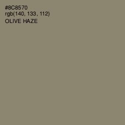 #8C8570 - Olive Haze Color Image