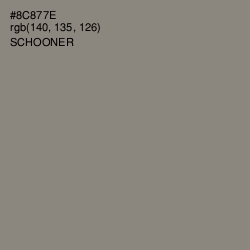 #8C877E - Schooner Color Image