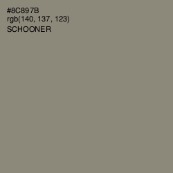 #8C897B - Schooner Color Image