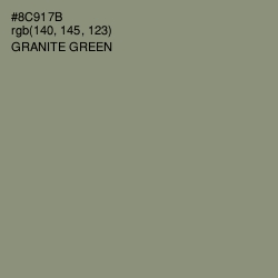 #8C917B - Granite Green Color Image