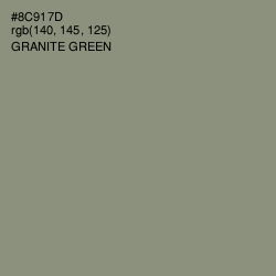 #8C917D - Granite Green Color Image