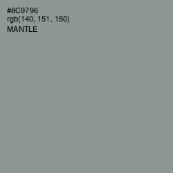 #8C9796 - Mantle Color Image