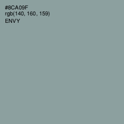 #8CA09F - Envy Color Image