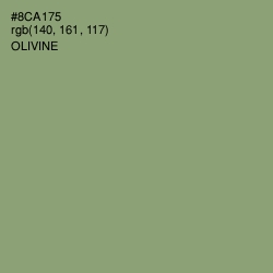#8CA175 - Olivine Color Image