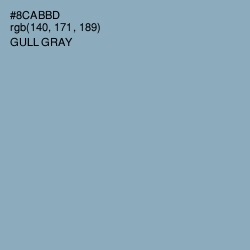 #8CABBD - Gull Gray Color Image