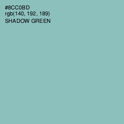 #8CC0BD - Shadow Green Color Image