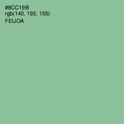 #8CC19B - Feijoa Color Image