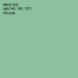 #8CC19D - Feijoa Color Image