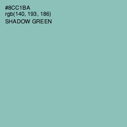 #8CC1BA - Shadow Green Color Image