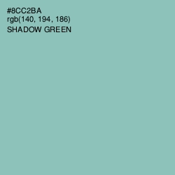 #8CC2BA - Shadow Green Color Image
