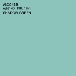 #8CC4BB - Shadow Green Color Image