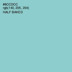 #8CCDCC - Half Baked Color Image