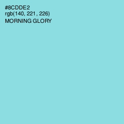 #8CDDE2 - Morning Glory Color Image