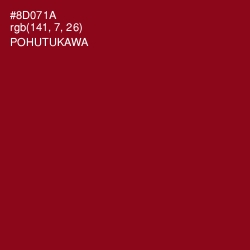#8D071A - Pohutukawa Color Image