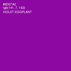 #8D07A2 - Violet Eggplant Color Image