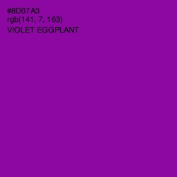 #8D07A3 - Violet Eggplant Color Image