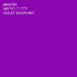 #8D07B1 - Violet Eggplant Color Image