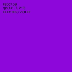 #8D07DB - Electric Violet Color Image