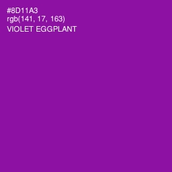 #8D11A3 - Violet Eggplant Color Image
