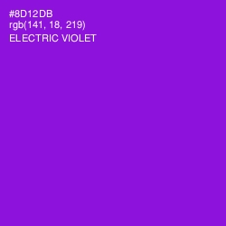 #8D12DB - Electric Violet Color Image
