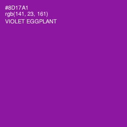 #8D17A1 - Violet Eggplant Color Image