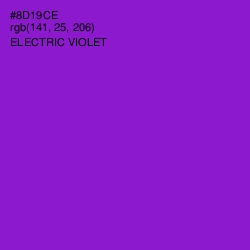 #8D19CE - Electric Violet Color Image