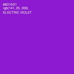 #8D19D1 - Electric Violet Color Image