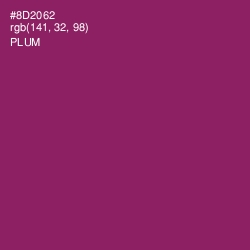 #8D2062 - Plum Color Image
