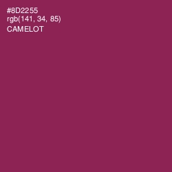 #8D2255 - Camelot Color Image