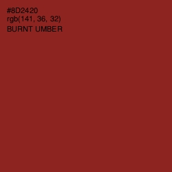 #8D2420 - Burnt Umber Color Image