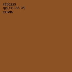 #8D5223 - Cumin Color Image