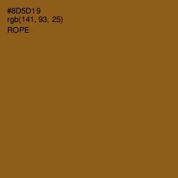 #8D5D19 - Rope Color Image