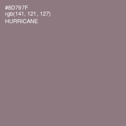 #8D797F - Hurricane Color Image