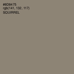 #8D8475 - Squirrel Color Image