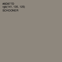 #8D877D - Schooner Color Image